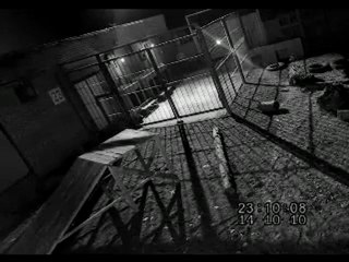 Стая волков сбежала из клетки!