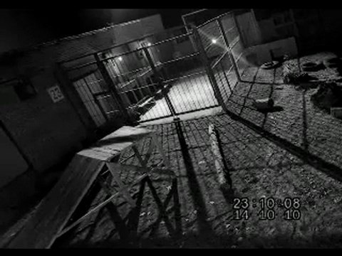 Стая волков сбежала из клетки!