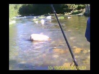 10.10.2010 Kirazlıyayla alabalık avımız