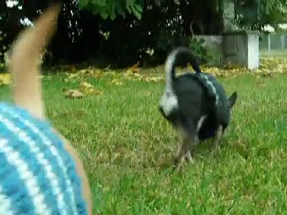 Les p'tits bouts dans le jardin, dimanche 17 octobre 2010