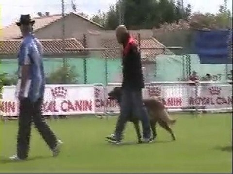 final ring bakari 2010 partie 1