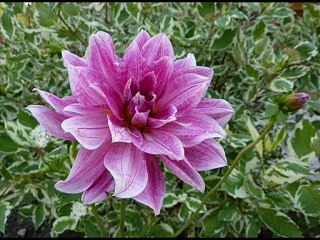 CABOT, Thierry - Pour peu que tu sois là.