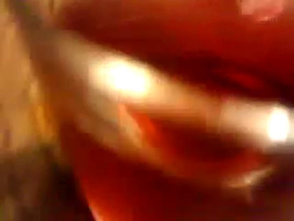 Jammin Squirrel - Reflections