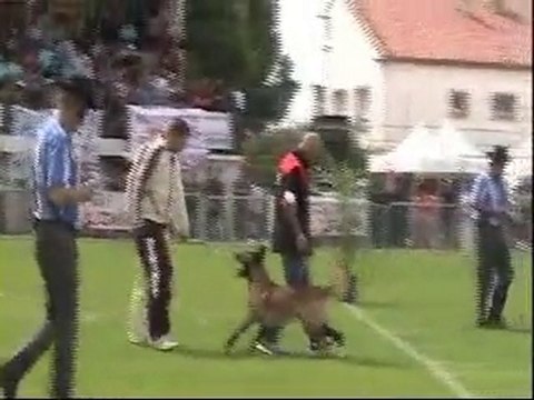 final ring bakari 2010 partie 2