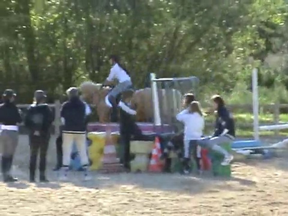 challenge oct2010 lyly