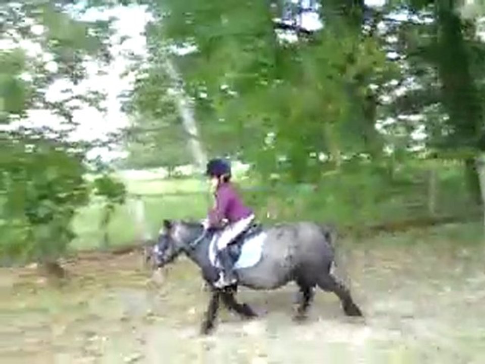 Tico et Chloé - 1ère séance de saut - octobre 2010