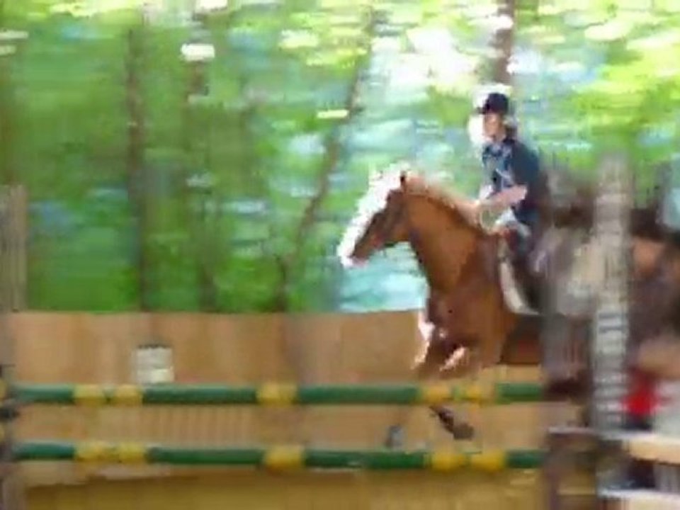 Laura et Bono's  - concours 10/10/10 Montfrais