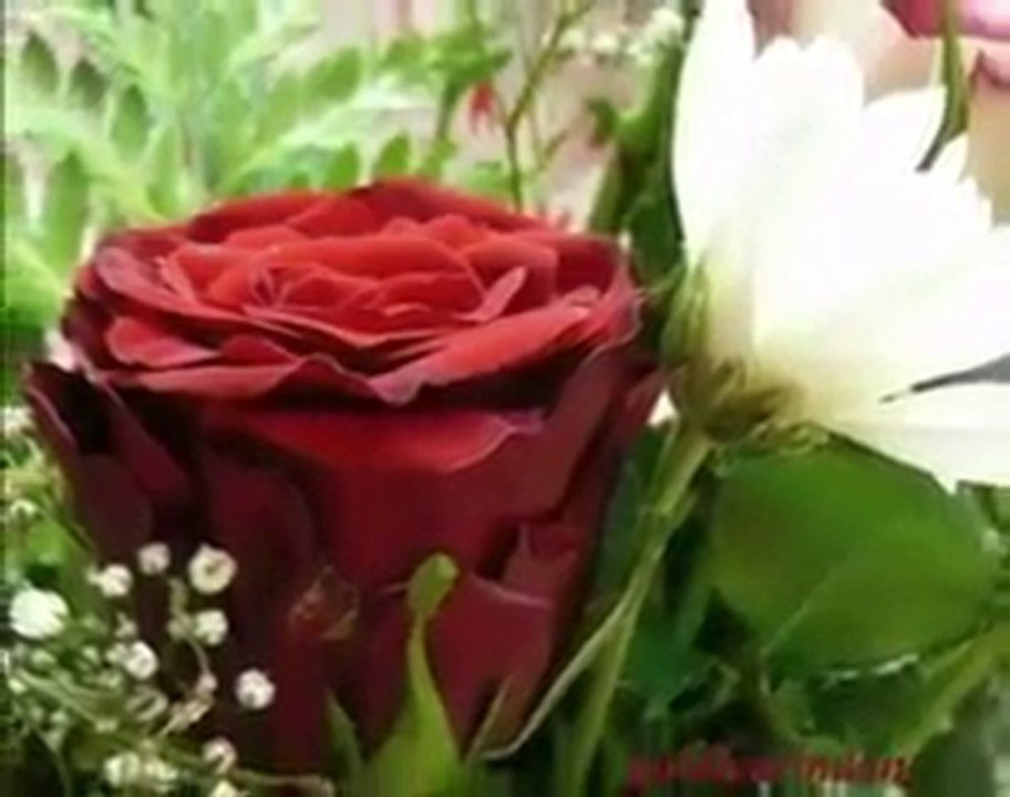 Murat Güneş biz muhammed aşığıyızz s.a.s -