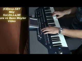 Meyler---(CE)exp.SET