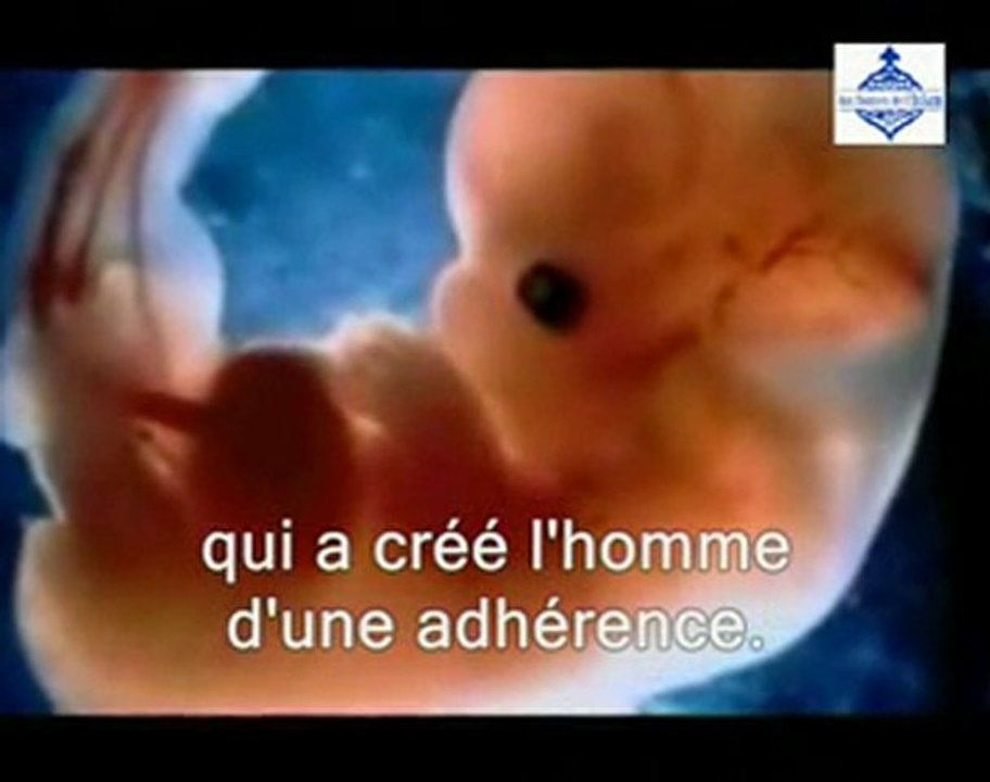 Ne voient t_il pas _ intro.flv
