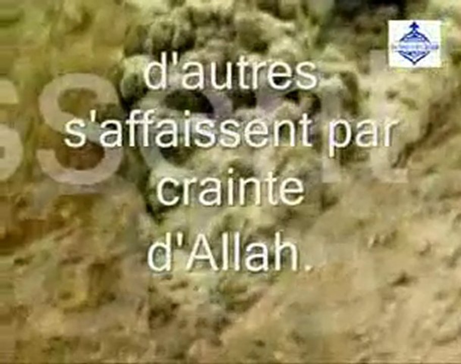 Ne voient t_il pas _ Partie 6.flv