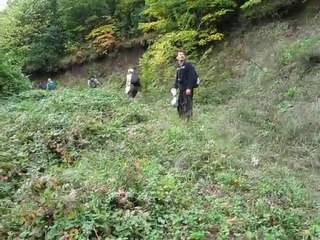 Seyyah - İZDOGE - Ağaçlık Alan - 3