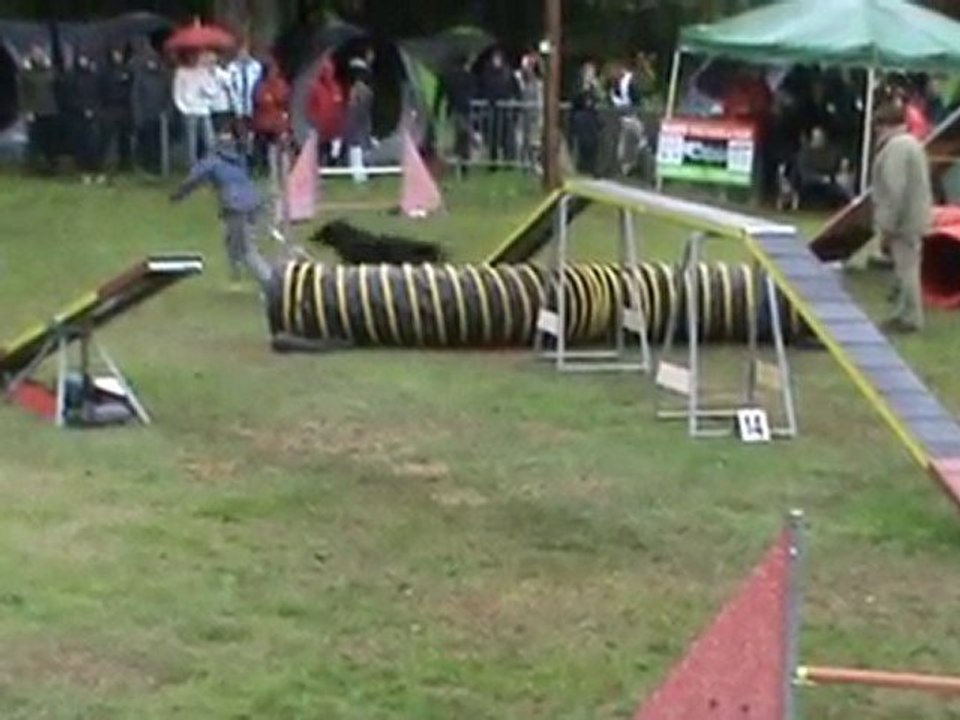 BELLEVILLE 2010 Delta 2ème degré