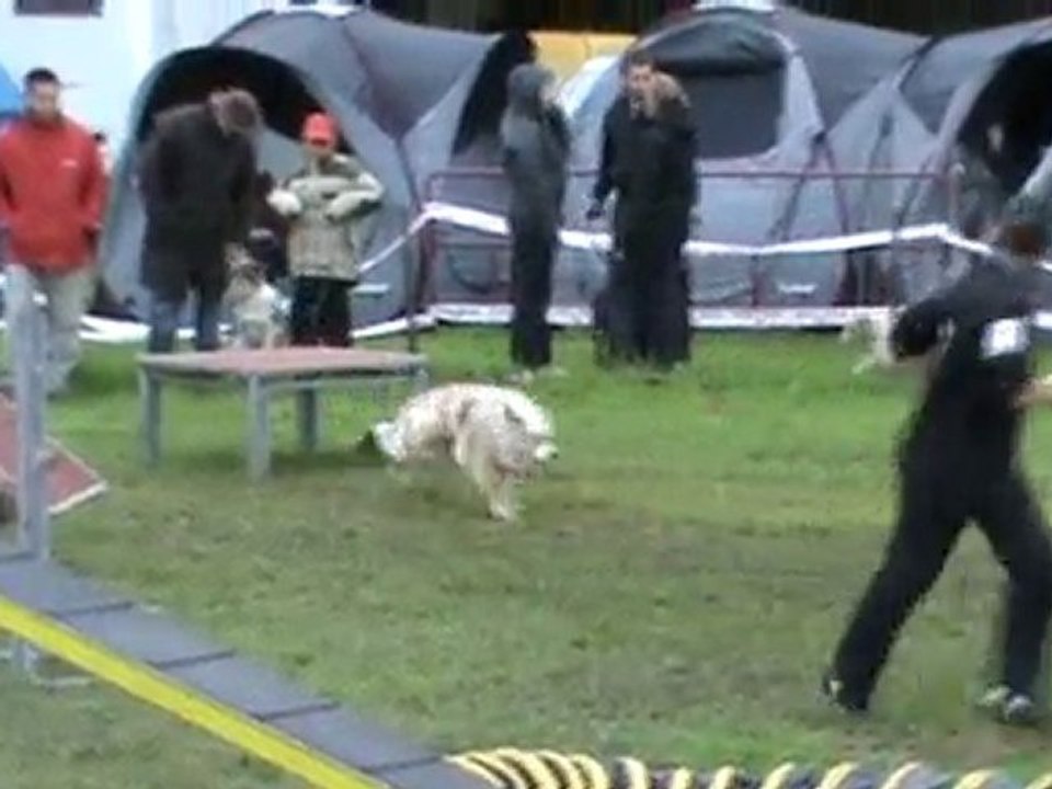 BELLEVILLE 2010 Chanel 3ème degré