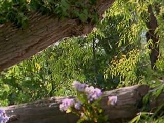 Продукт компании NSP Zambroza