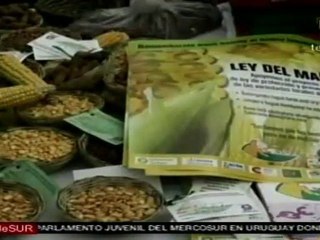 Campesinas paraguayas exponen sus trabajos y realizan denuncias