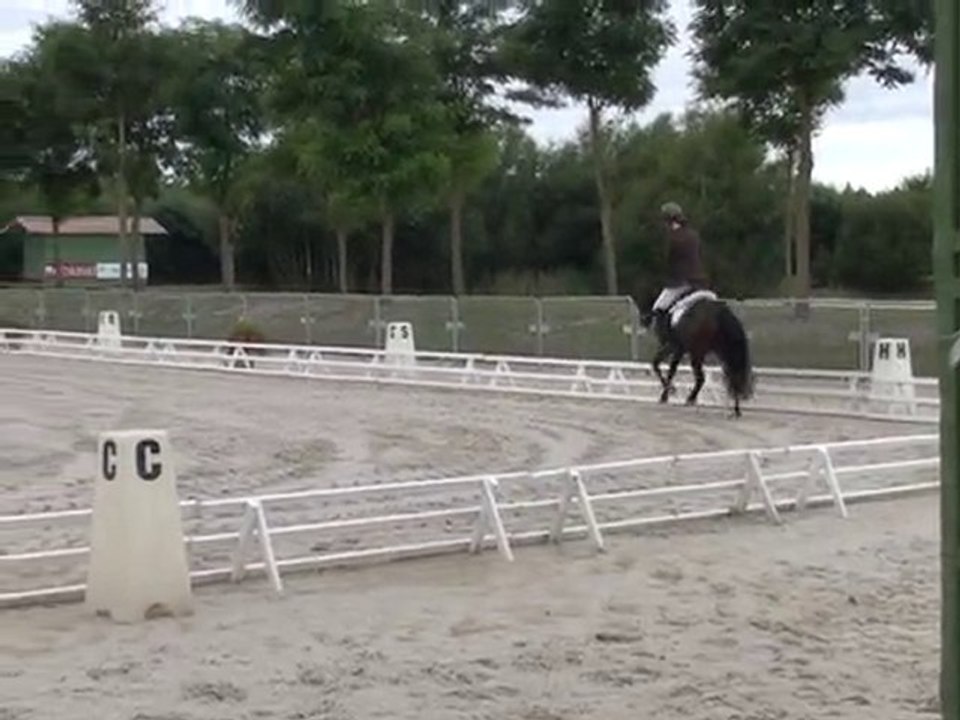 sir raspoetin tilia, NEP Sologn Pony 2010