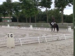 sir raspoetin tilia, NEP Sologn Pony 2010