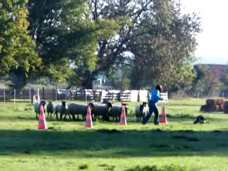 Lucie et Looping 1er passage inter races