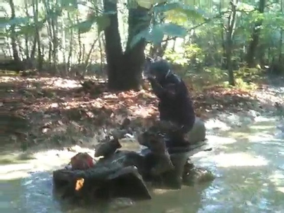 BOURBIER ????? TITICHTI