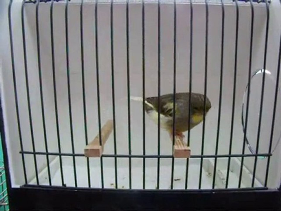 AHRAC KABAK ERKEK | 054-2010