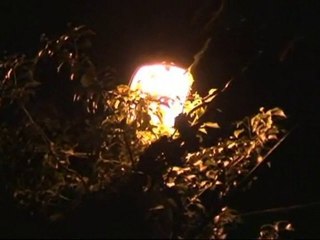 La Nuit de l'Obscurité 2010 - 16/10