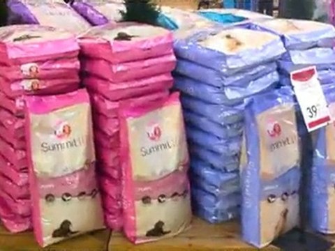 Lancement offciel des gamelles du coeur