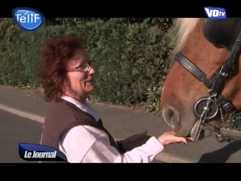 Equiterra : la collecte des déchets à cheval (Val-d'Oise)