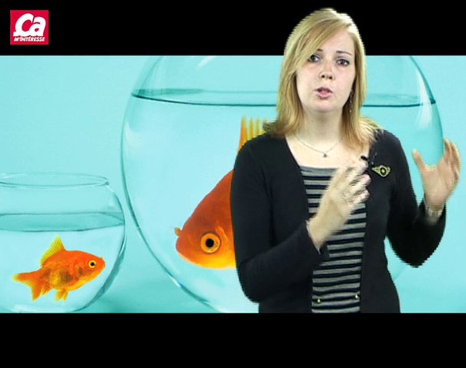 Les poissons boivent-ils ?