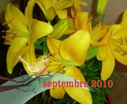 septembre 2010 LA TRINITE et ST-HILAIRE DE RIEZ