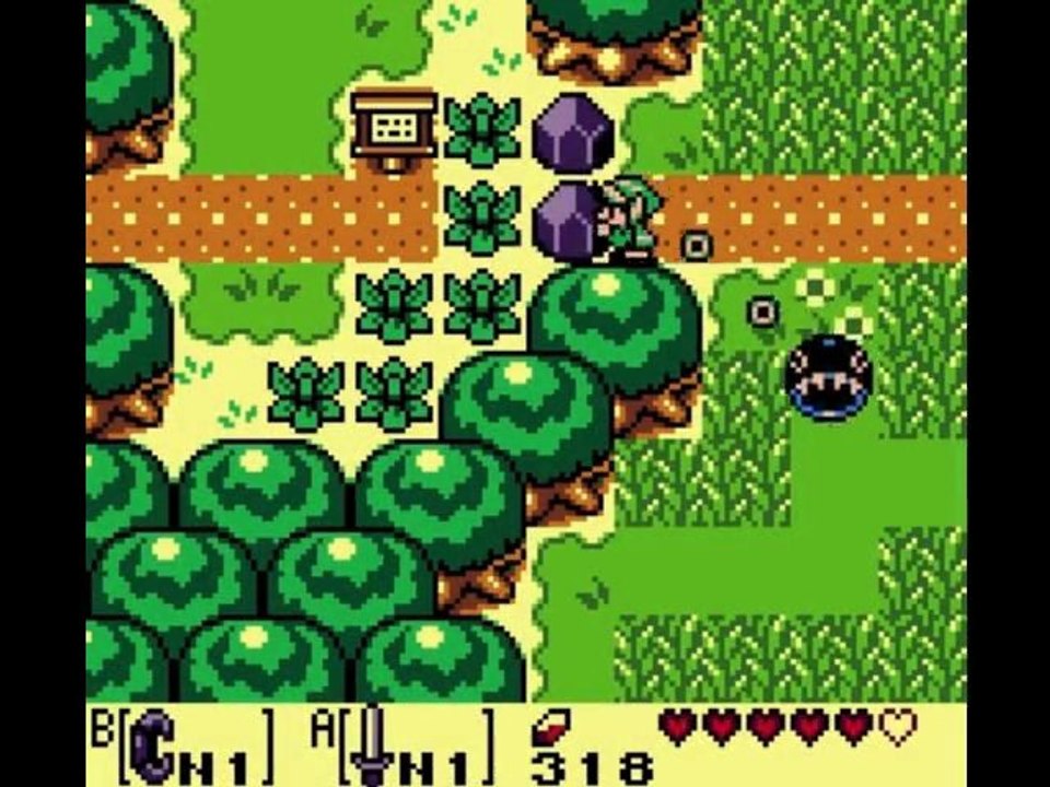 Zelda Link's Awakening DX 4) Adieu Toutou!