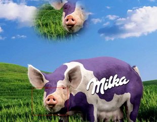 Photoshop : outil tampon