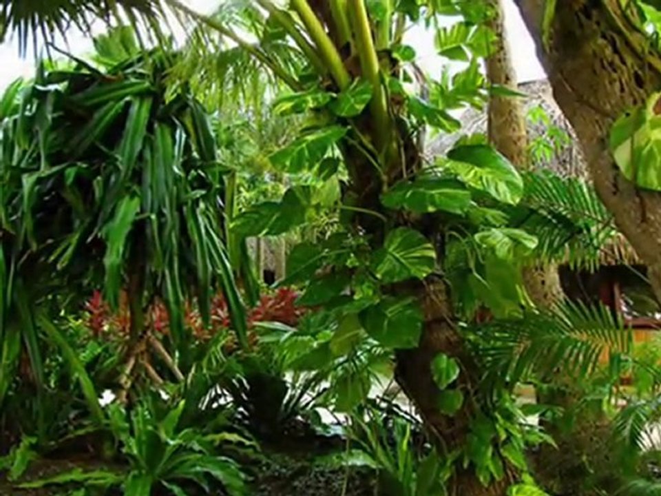 Gipsy Kings- Classiscal Spanish Gultar..