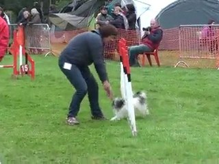 Pavlov 2010 - Jumping - Lola