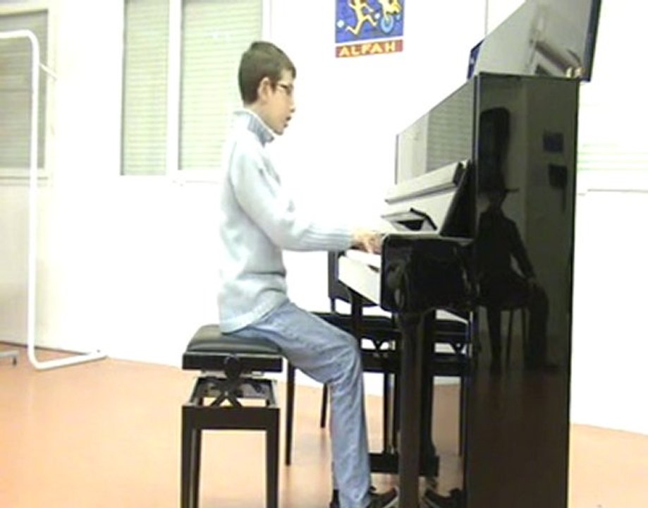 Le lac des cygnes (extrait) Tchaïkovsky par Thibault Perez