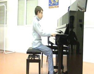 Le lac des cygnes (extrait) Tchaïkovsky par Thibault Perez