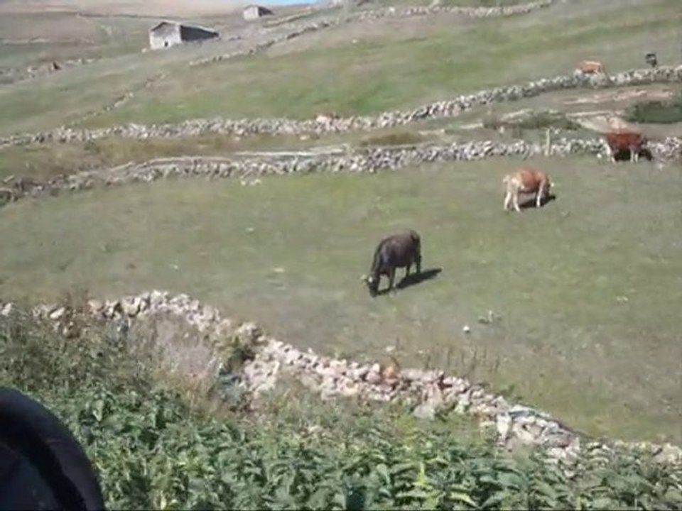 ISMAILAGA YAYLASINA YOLCULUK 2010