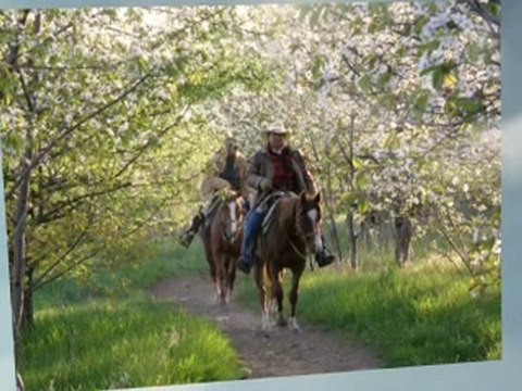 Insulated Saddle Bag