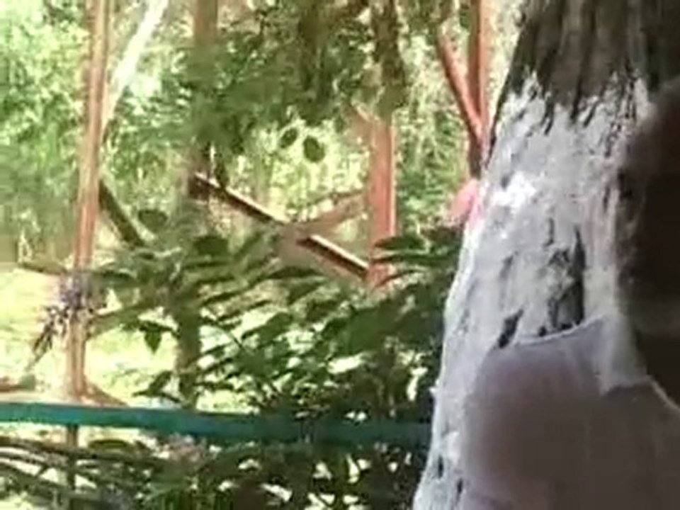 Muslihittin Efendi 2010 Sünnet Mevlidi İlahi Dinletisi