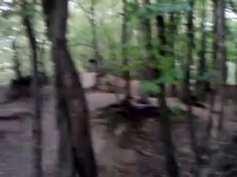 le velo
