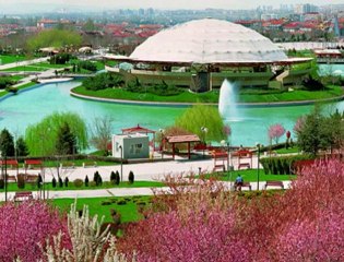 Umut Çakır - Ankaralı