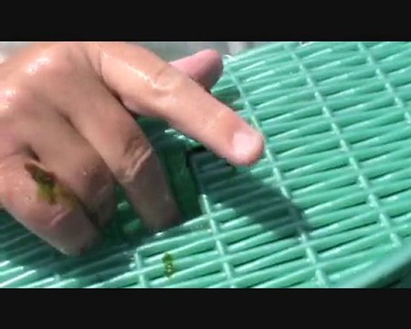 Deuxième balade visiteuse