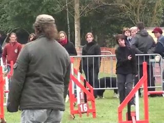 Pavlov 2010 - Jumping - Inu