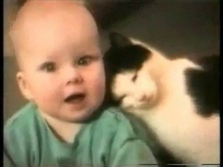 Quiero un lindo gatito...