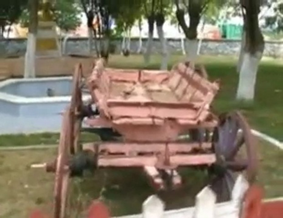 gurbeti benmi yarattım. demirağaç video