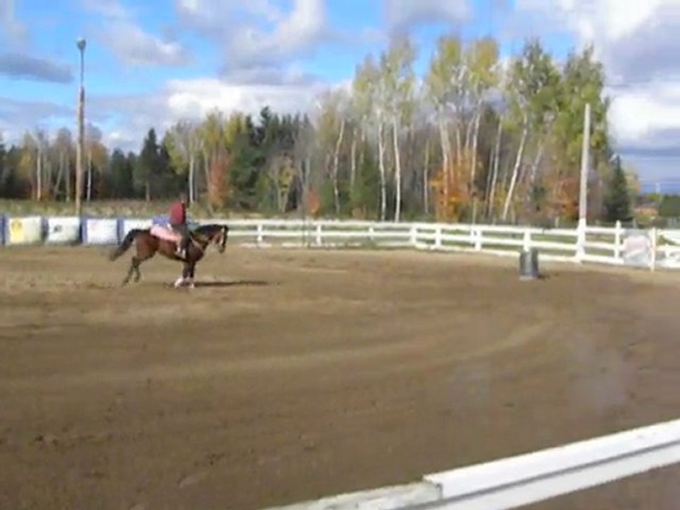 ma jument et mon pere