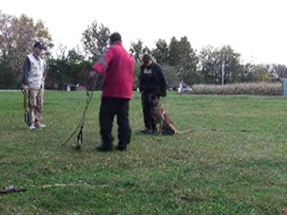 Tracey and Toxic super focus