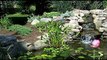 Garden Ponds Bergen County- Garden Ponds Call (201) 768-174