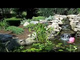 Garden Ponds Bergen County- Garden Ponds Call (201) 768-174