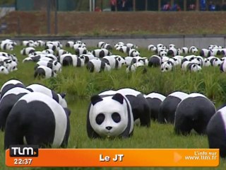 1600 pandas envahissent Lyon !
